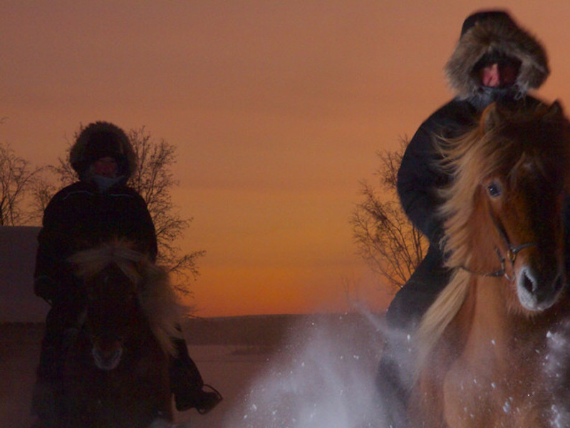 Picture of Northern Lights on horseback