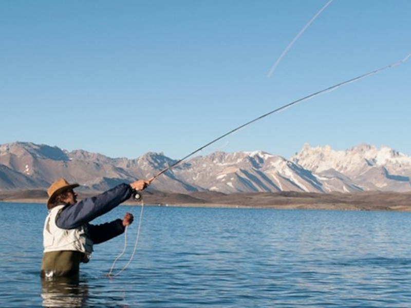 Picture of Fishing 