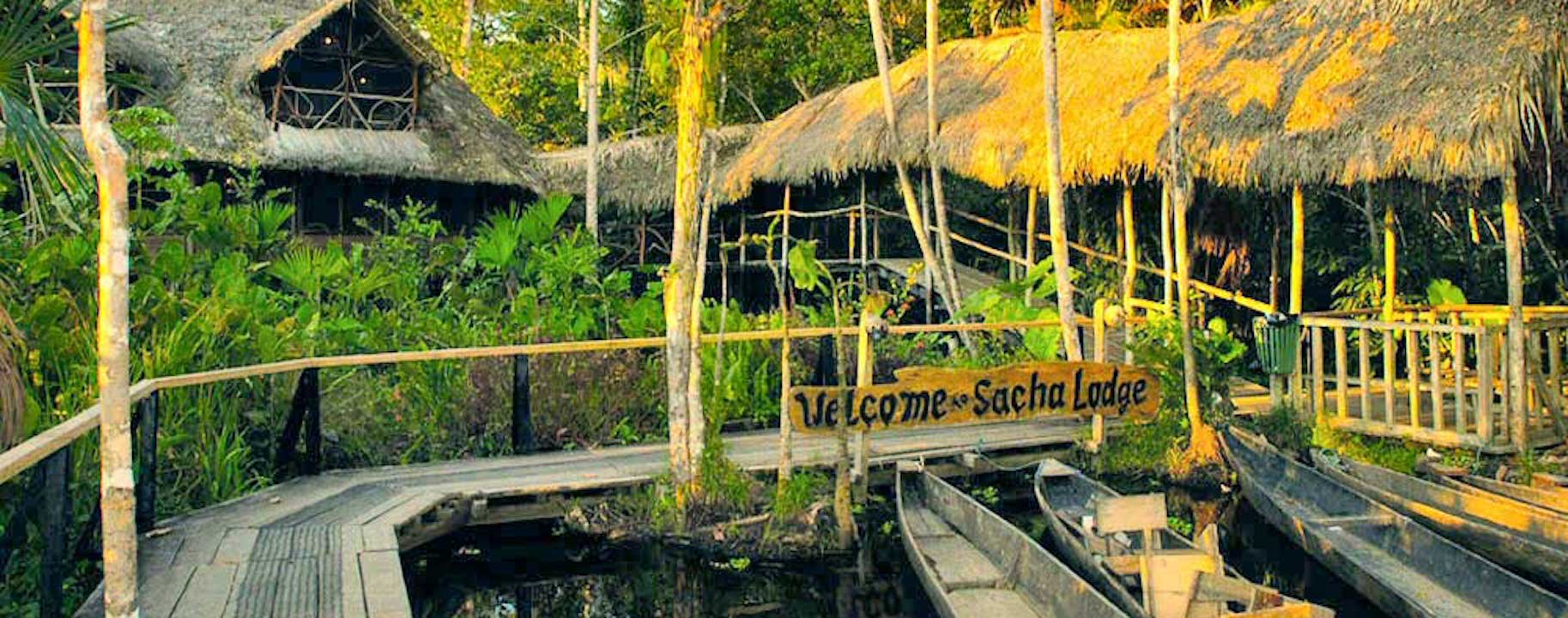 4D-3N Amazon Rainforest expedition / Plane , Boat , Hike / Ecuador Sacha Lodge 